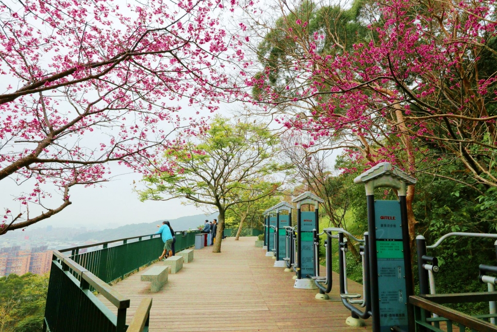佳作－潘王鳳英－水碓景觀公園之二
